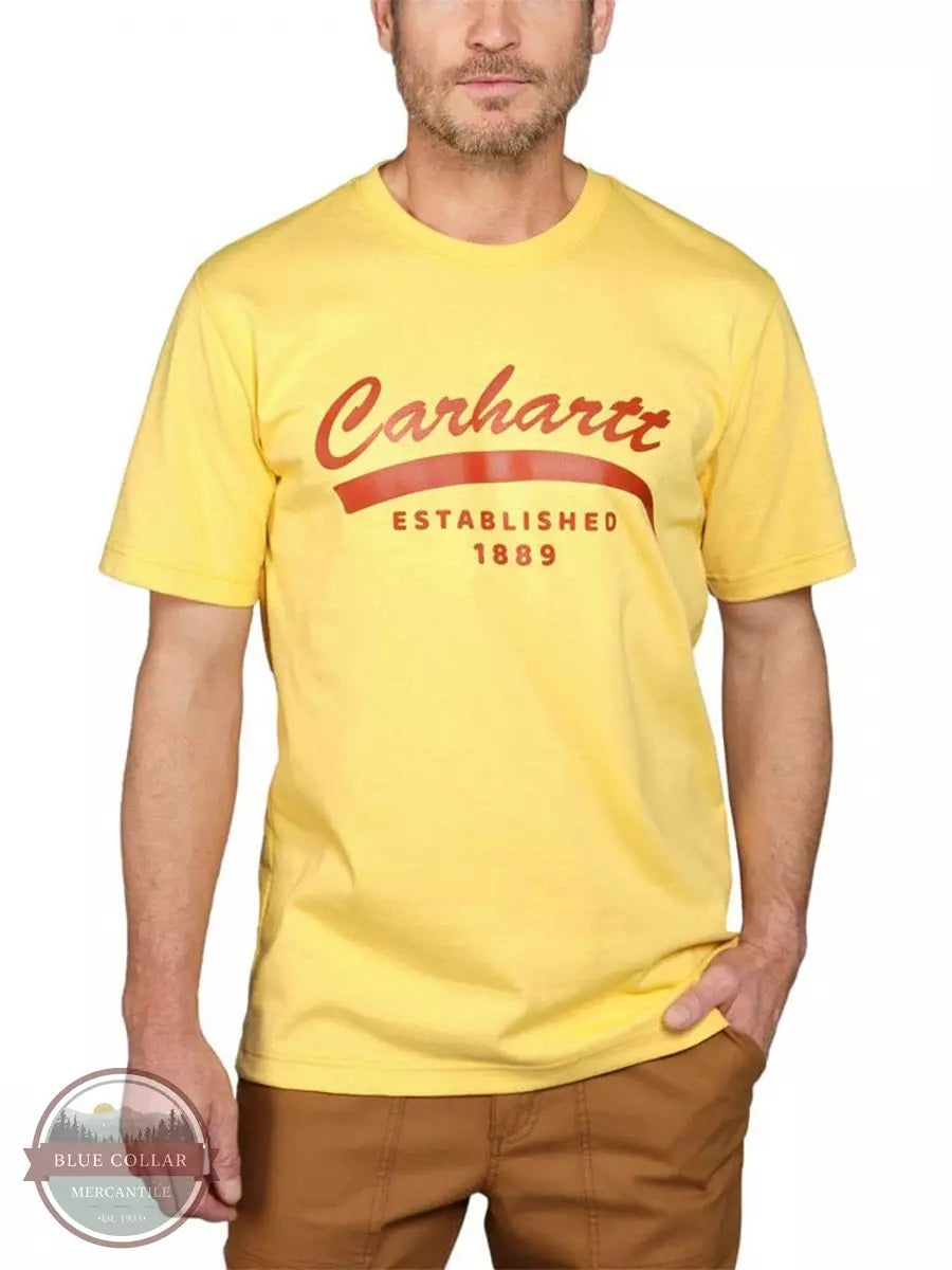 'Carhartt' Men's Relaxed Fit Heavyweight Graphic T-Shirt - Sundance Heather